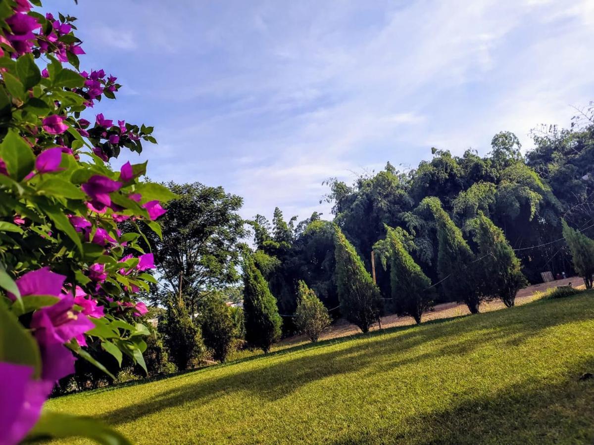 Velinn Hotel Natureza Foz Foz do Iguaçu Zewnętrze zdjęcie