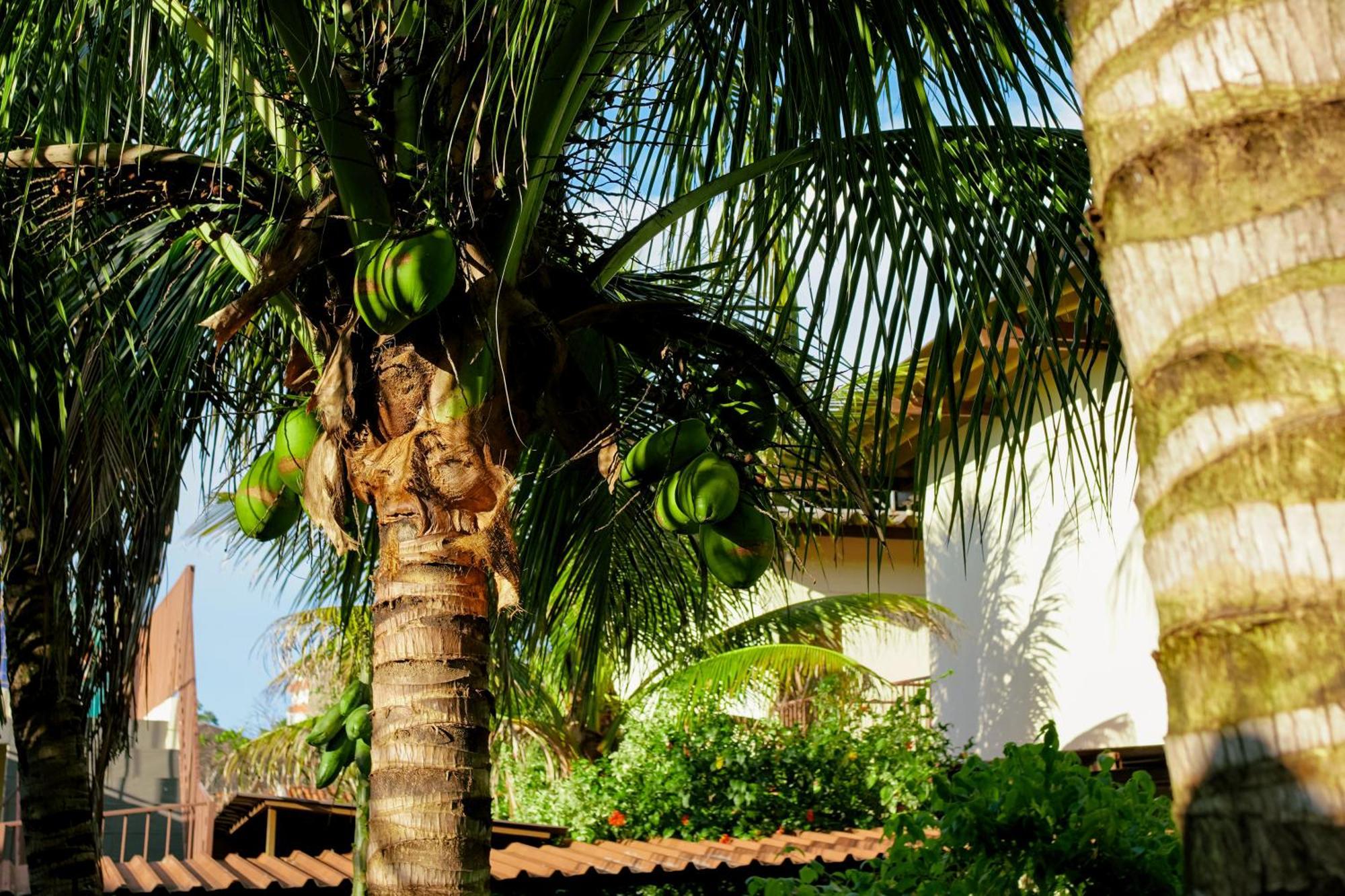 Velinn Hotel Natureza Foz Foz do Iguaçu Zewnętrze zdjęcie