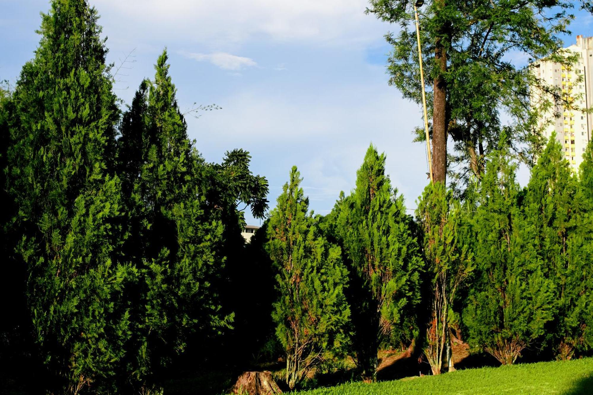 Velinn Hotel Natureza Foz Foz do Iguaçu Zewnętrze zdjęcie
