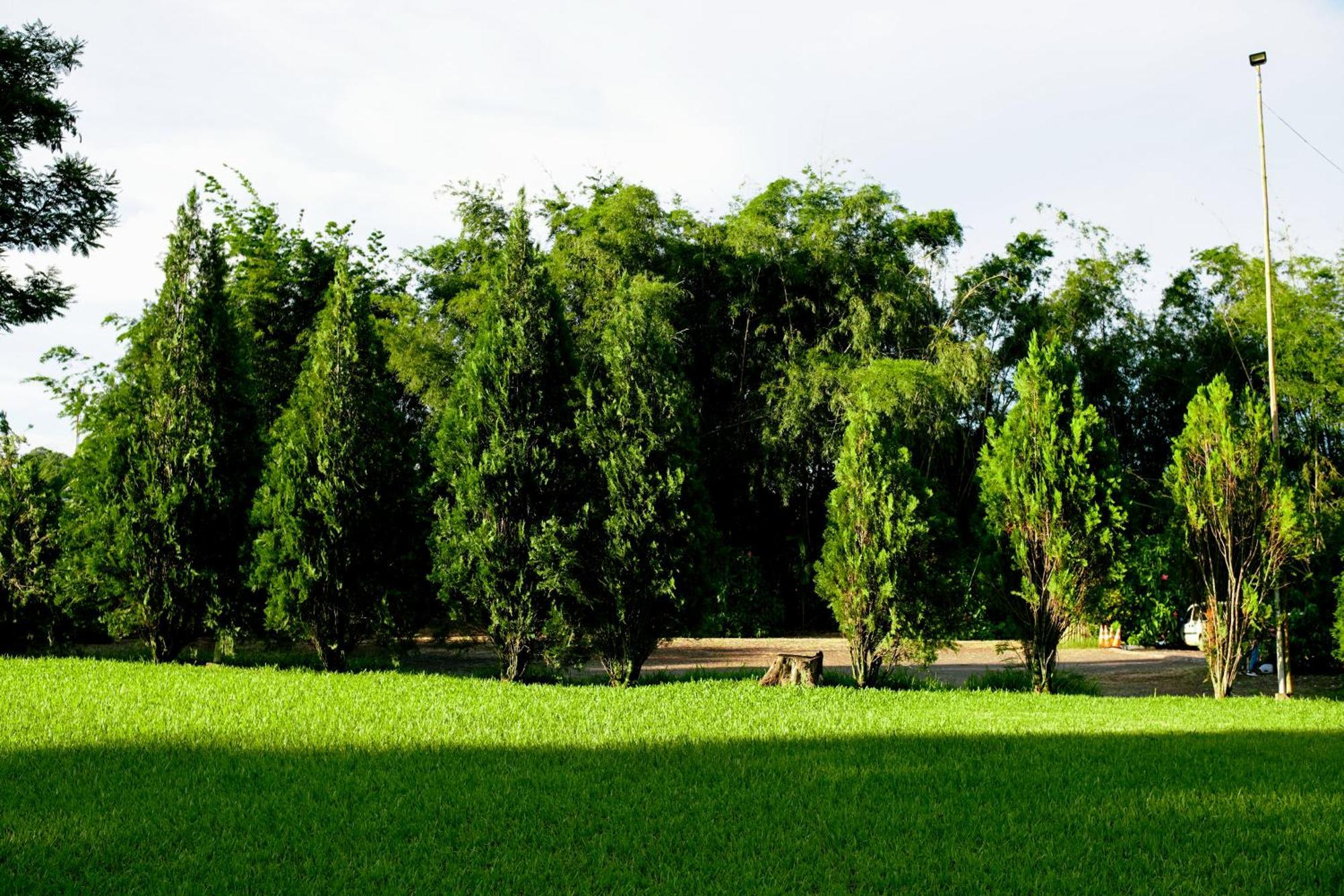 Velinn Hotel Natureza Foz Foz do Iguaçu Zewnętrze zdjęcie