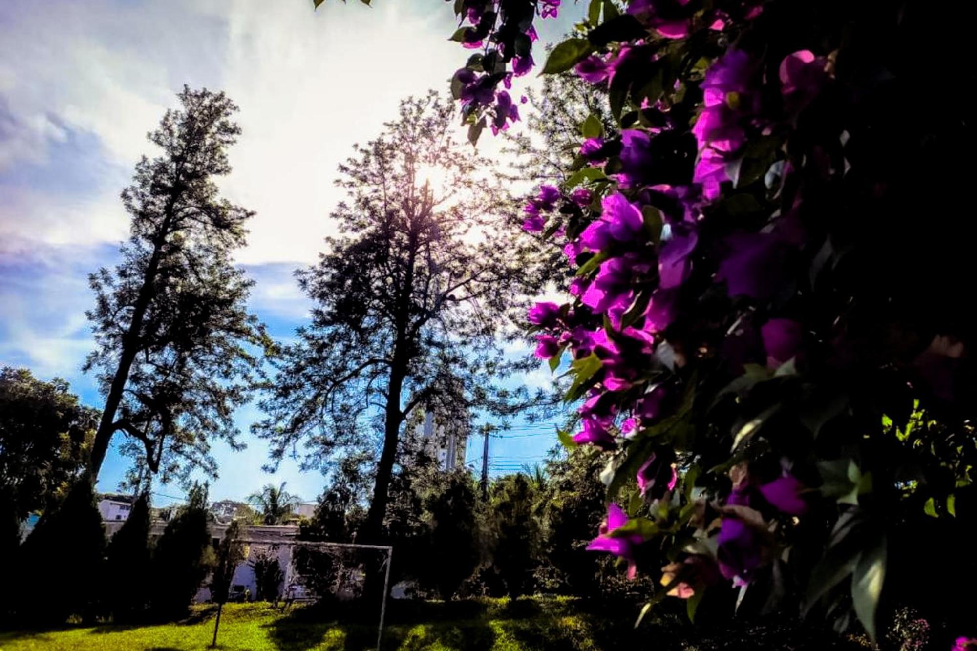 Velinn Hotel Natureza Foz Foz do Iguaçu Zewnętrze zdjęcie